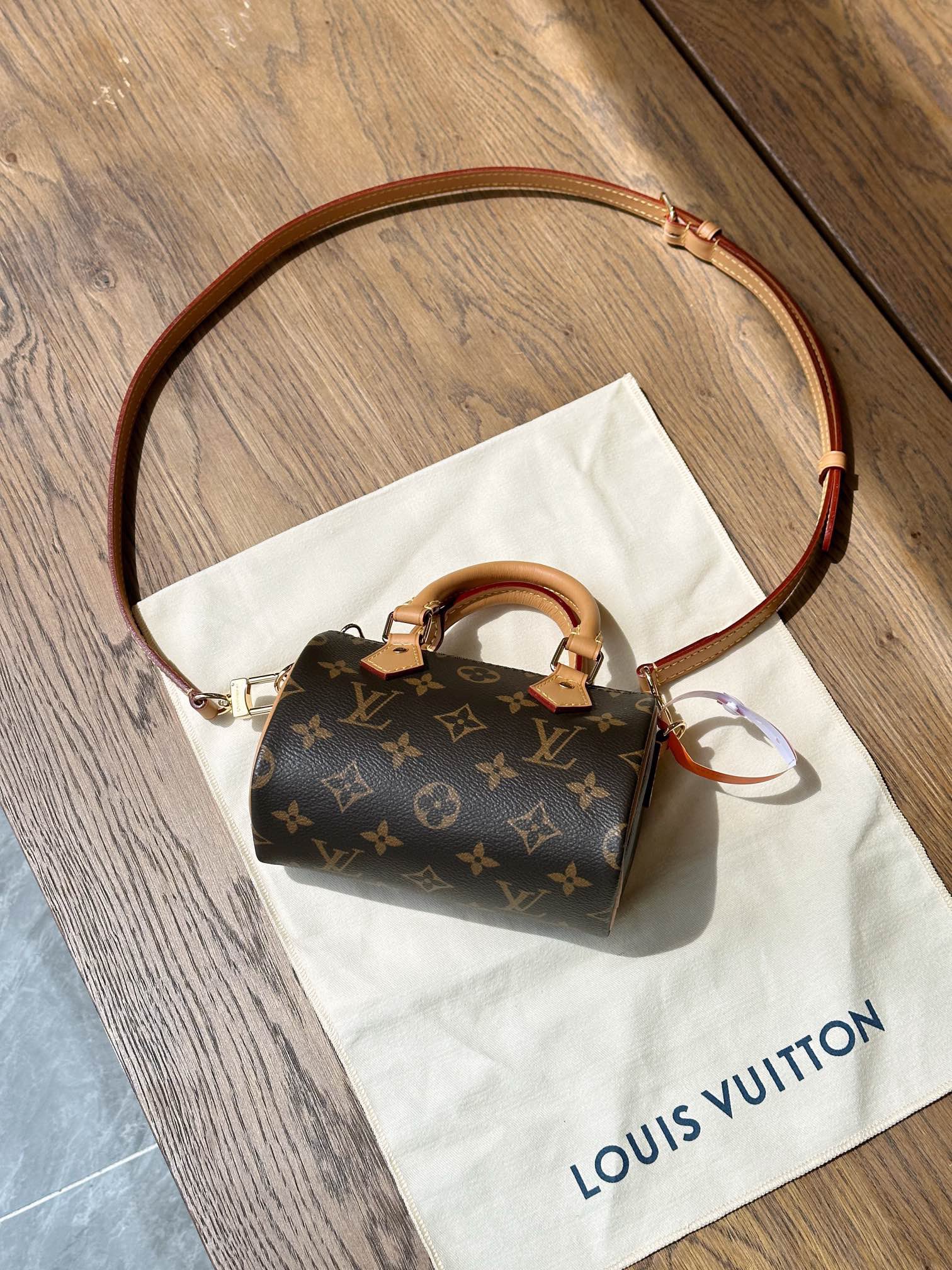 루이비통 NANO SPEEDY 여성 미니백