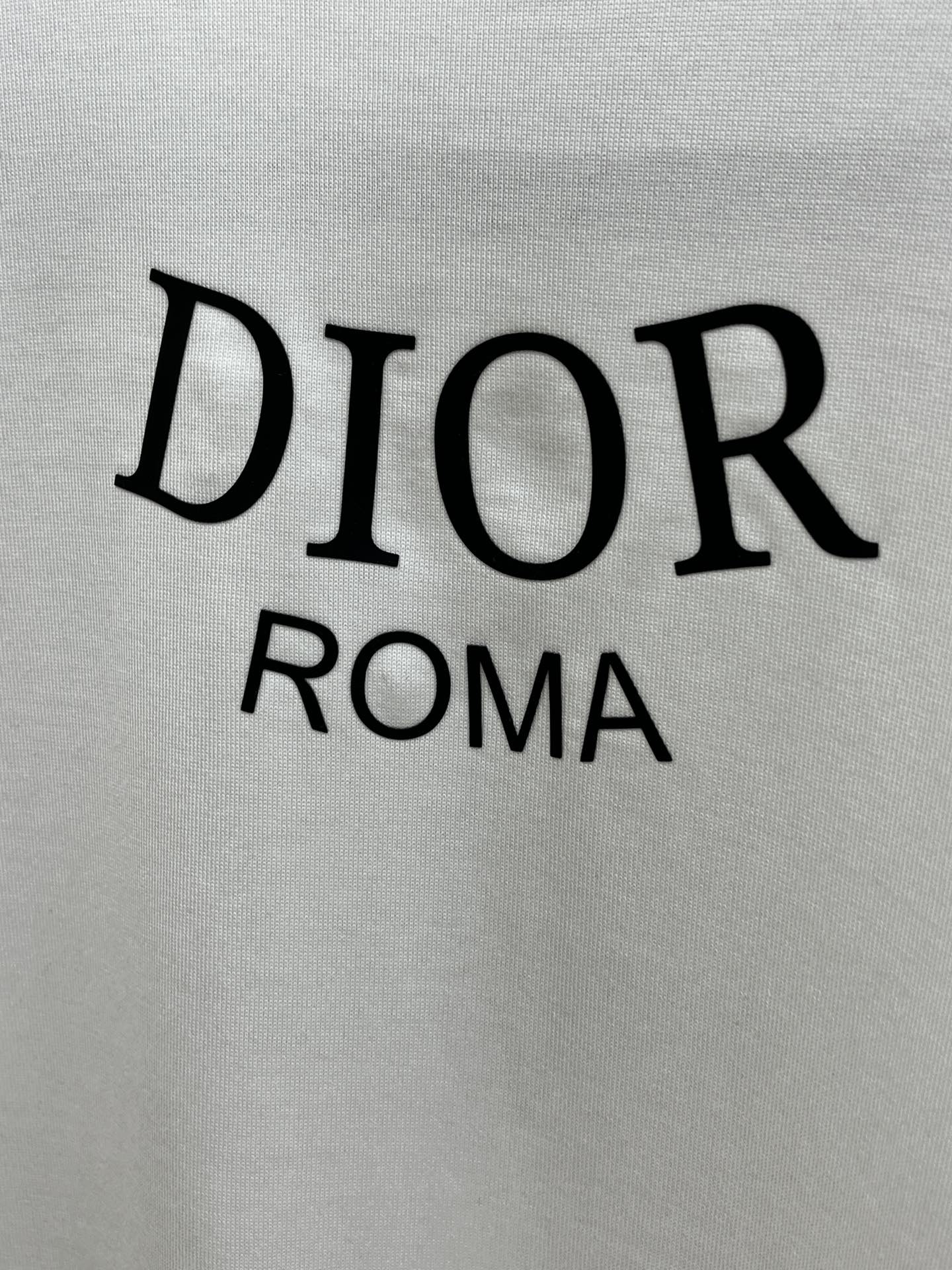 디올 DIOR로고 남성 반팔티 (2컬러)